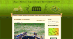 Desktop Screenshot of mmszke.hu